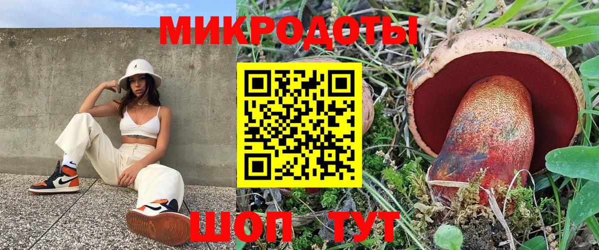 Галлюциногенные грибы MAGIC MUSHROOMS Новосибирск